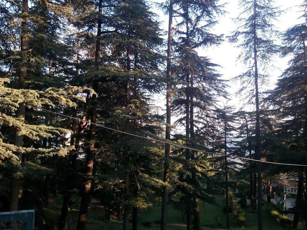 Torrentium Lodge Simlá Kültér fotó